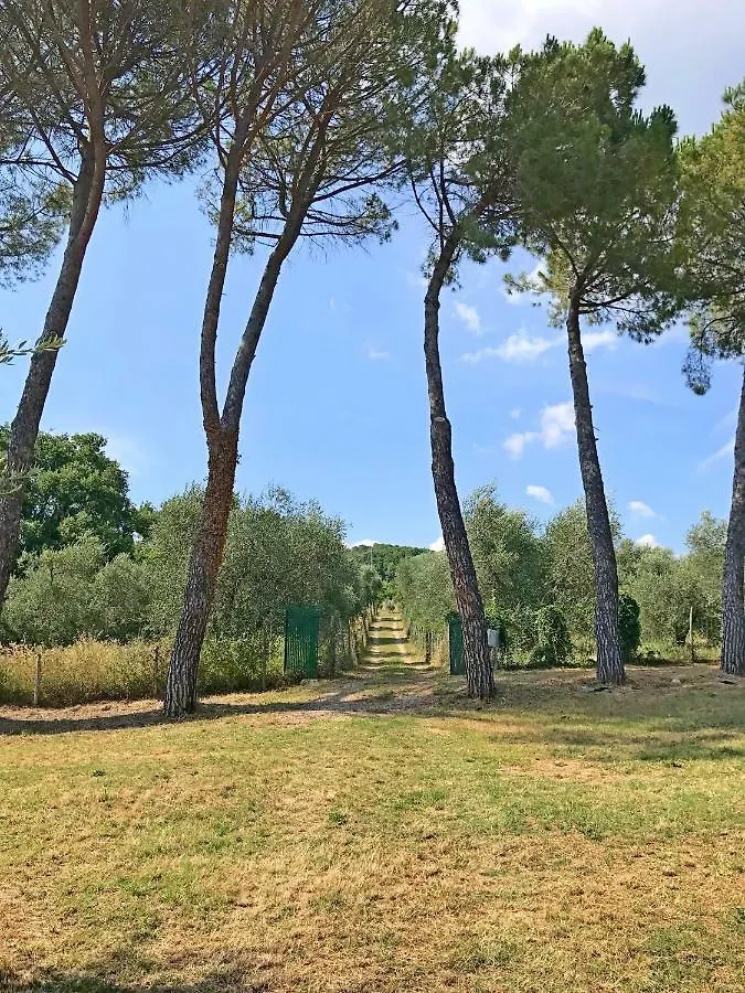 Ferienhaus Il-Pino Roccastrada Italia